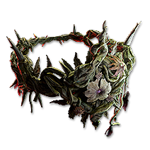 Crown of Thorns