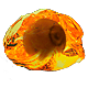 Hollow Fossil