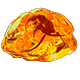 Corroded Fossil