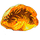Deft Fossil