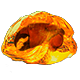 Serrated Fossil