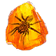 Shuddering Fossil