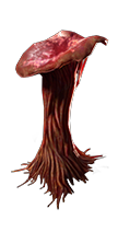 Red Mushroom