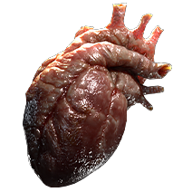 Sacrificial Heart